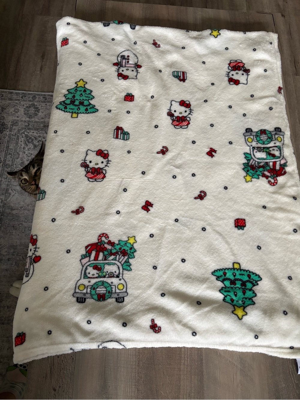 Hello Kitty Christmas Plush Throw